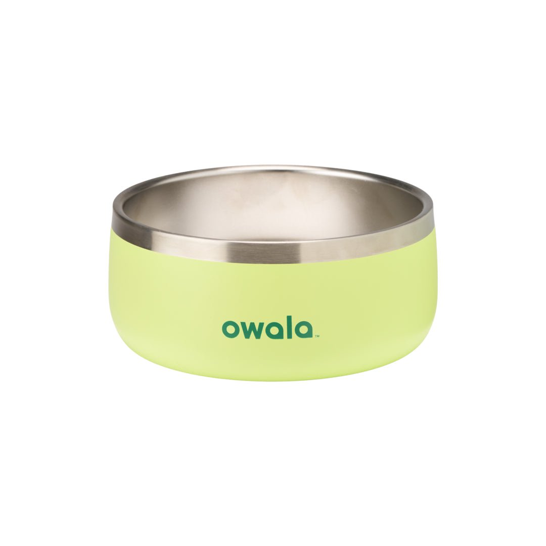 Pet Bowl | Studio Pick