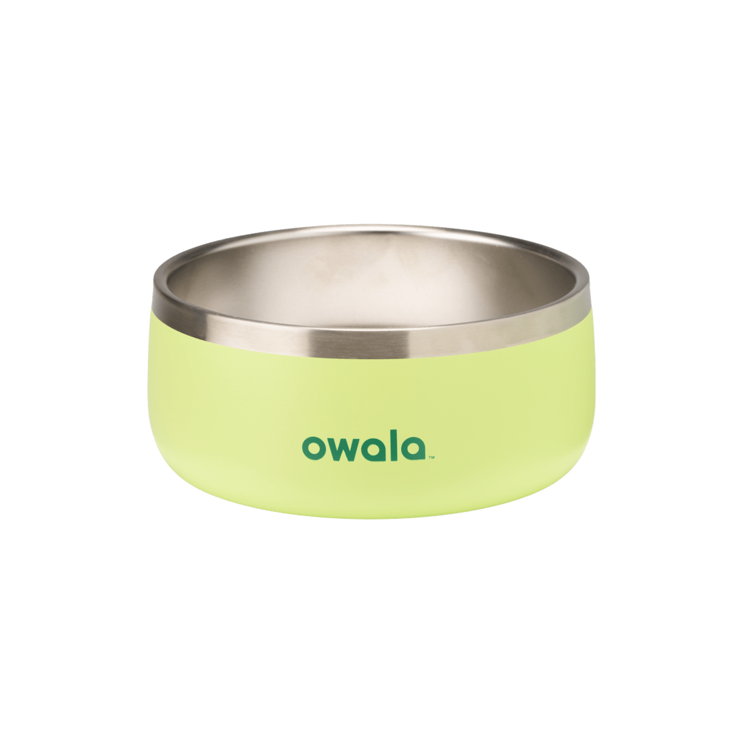Pet Bowl | Studio Pick