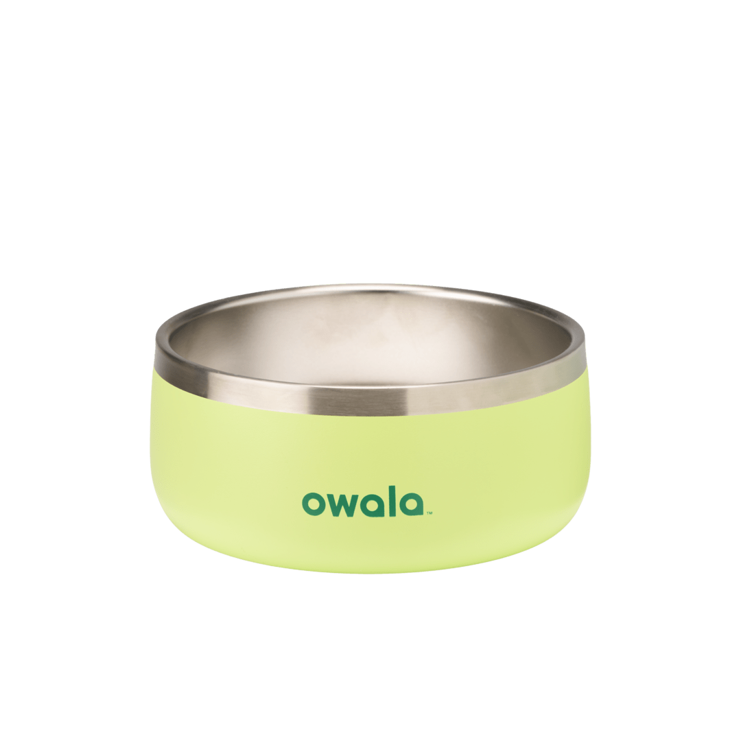 Pet Bowl | Studio Pick