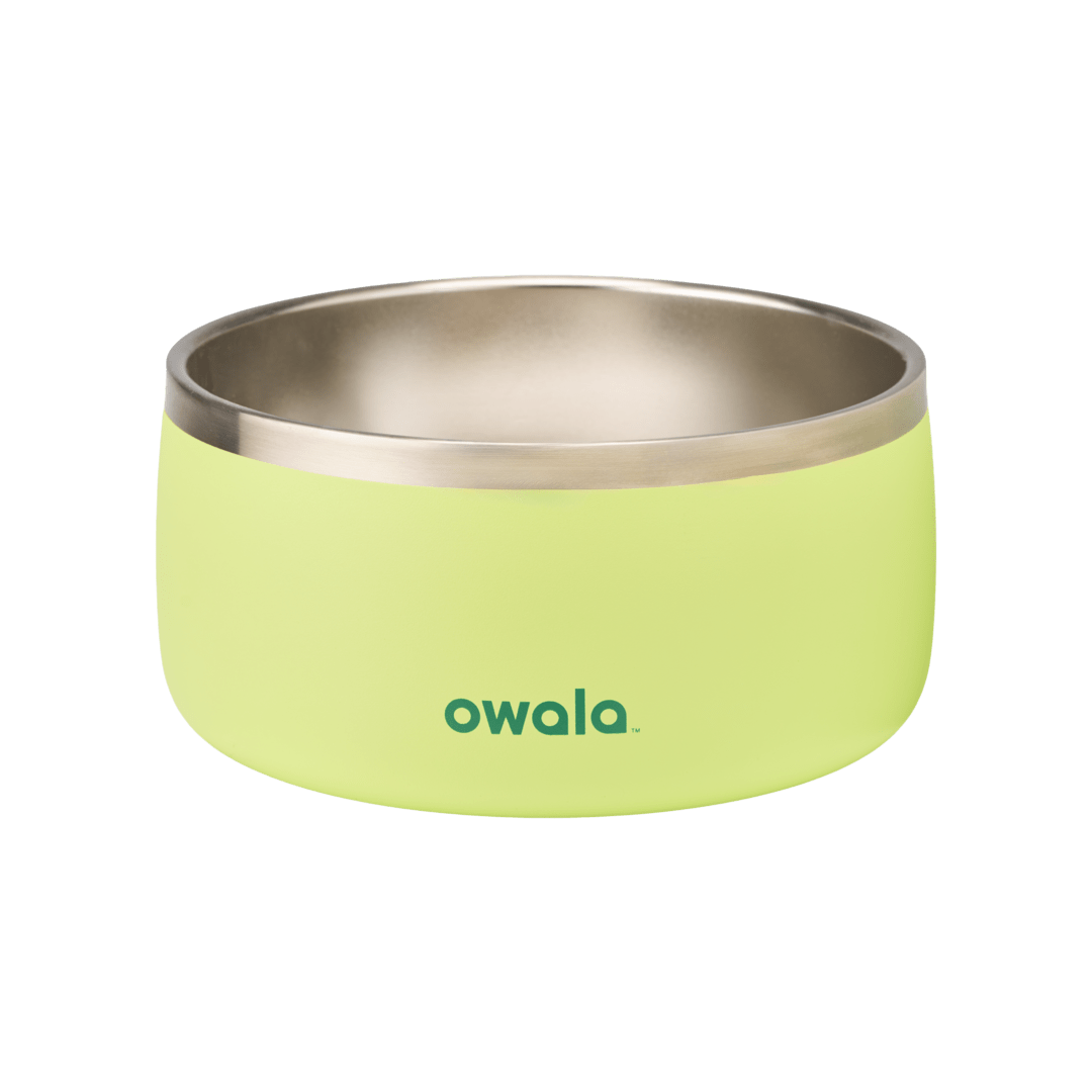 Pet Bowl | Studio Pick