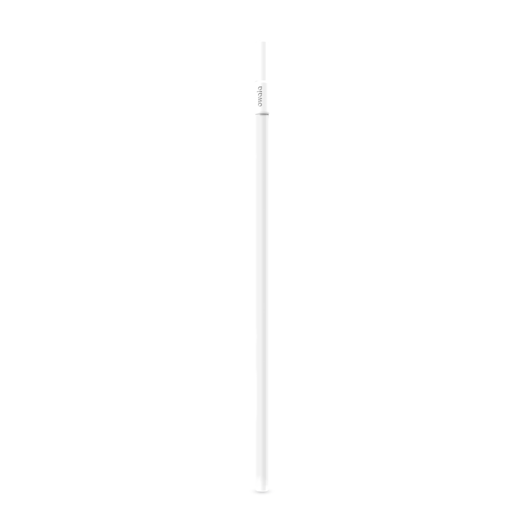 Replacement Straws | Core Style