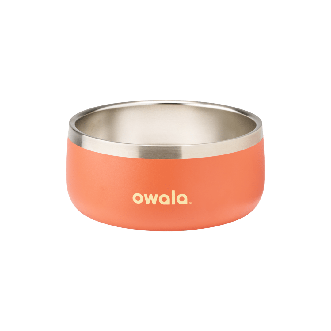 Pet Bowl | Studio Pick