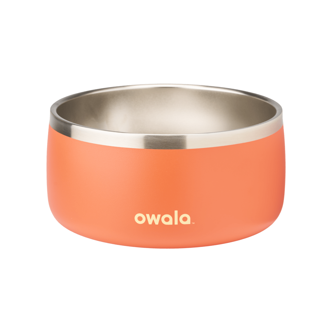 Pet Bowl | Studio Pick