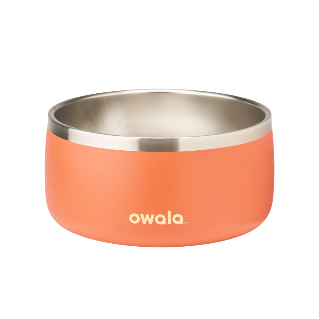 Pet Bowl | Studio Pick