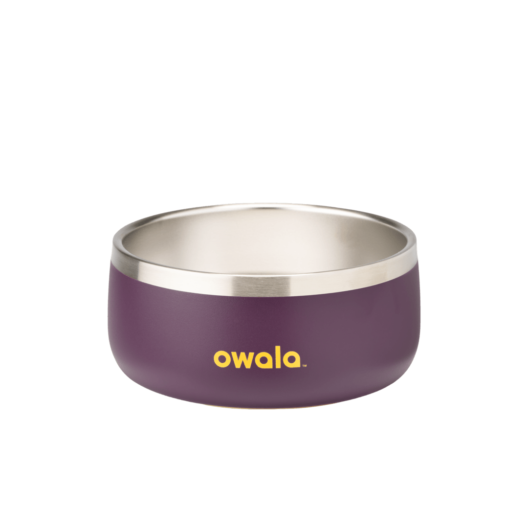 Pet Bowl | Studio Pick