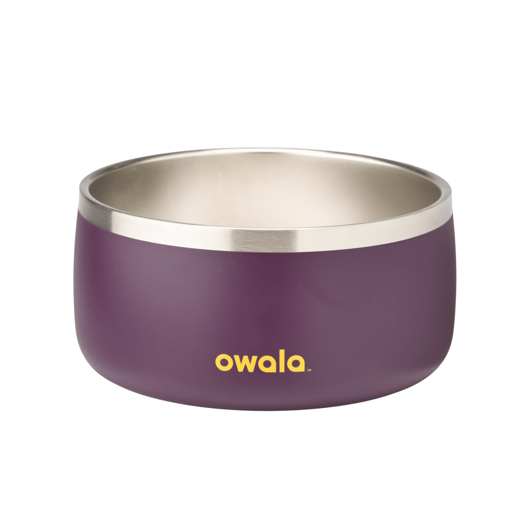 Pet Bowl | Studio Pick