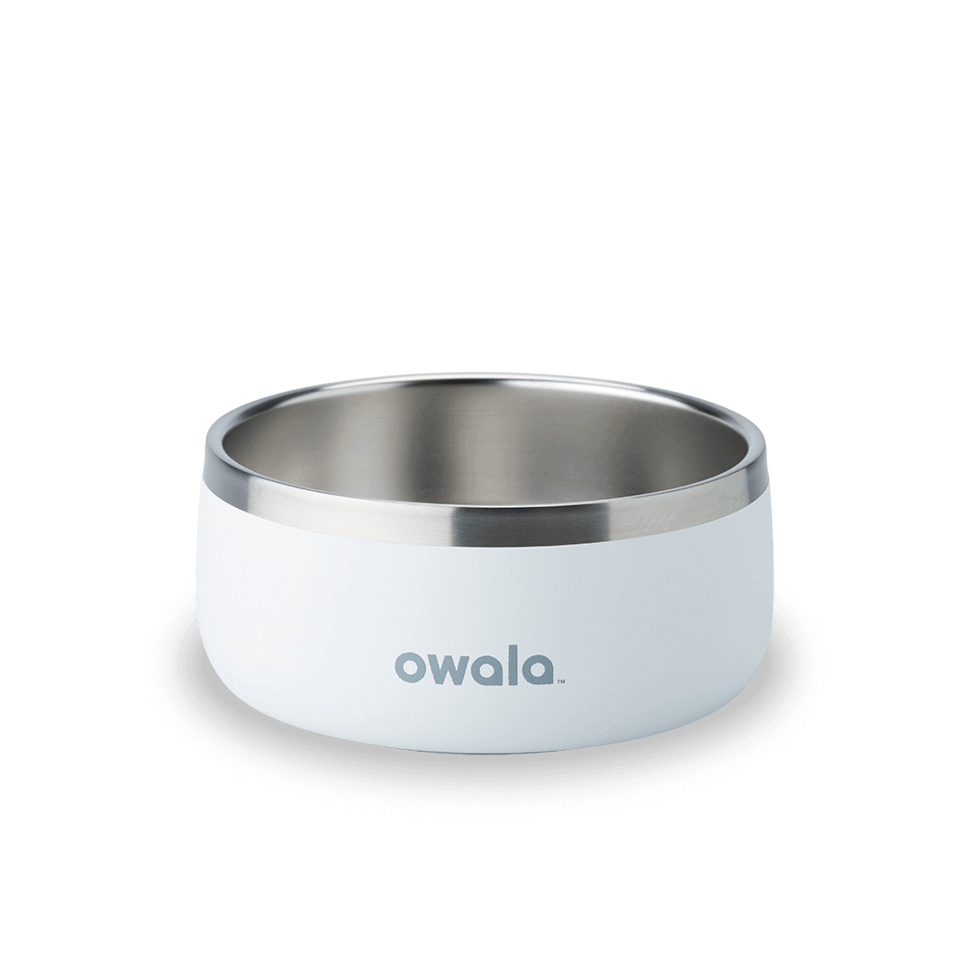 Pet Bowl | Studio Pick