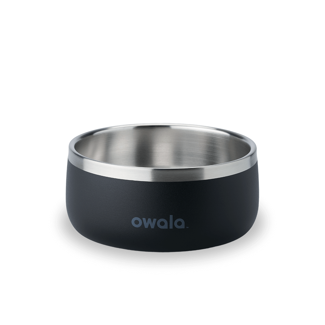 Pet Bowl | Studio Pick