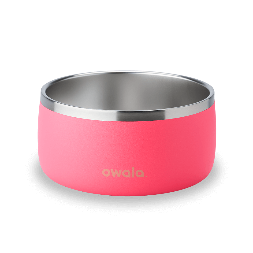 Pet Bowl | Studio Pick