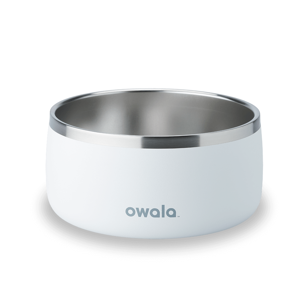Pet Bowl | Studio Pick