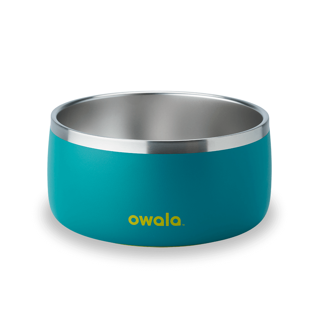Pet Bowl | Studio Pick