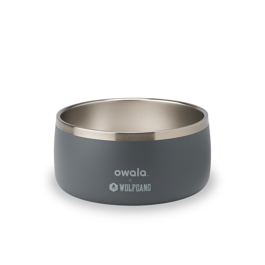 Pet Bowl | Studio Pick